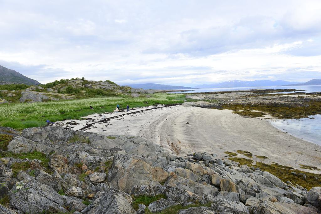 Vestfjord Panorama Villa Lodingen Bilik gambar