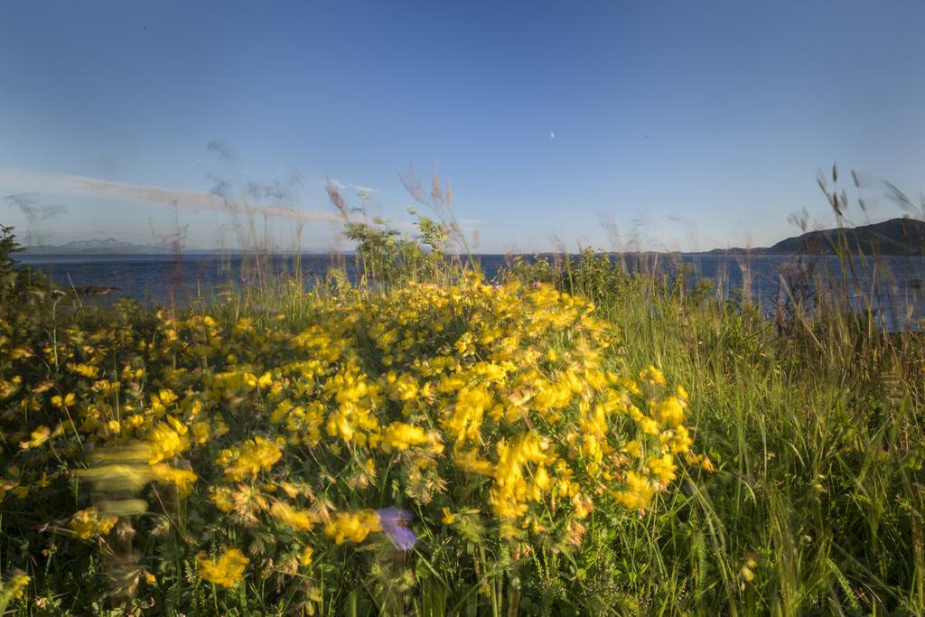 Vestfjord Panorama Villa Lodingen Luaran gambar